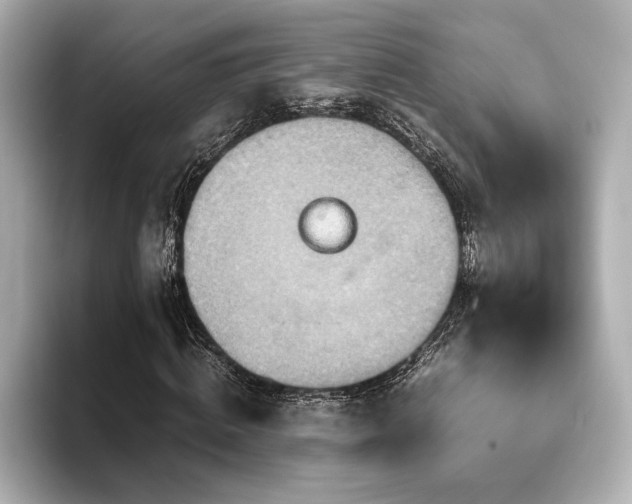 X0000093610820200710151237