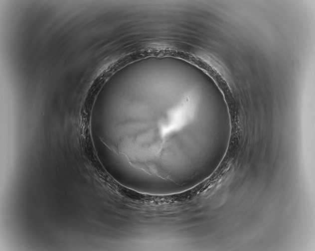 X0000093610823200710151237