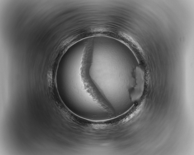 X0000093610825200710151237