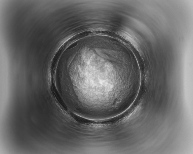 X0000093610829200710151237