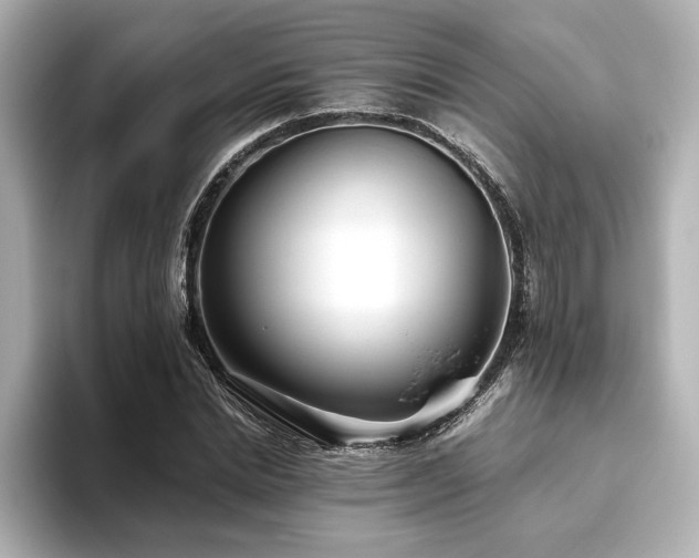 X0000093610830200710151237