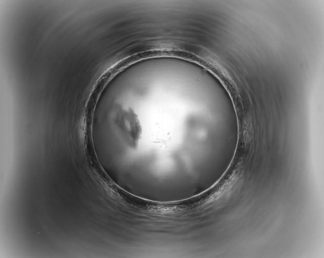 X0000093610831200710151237