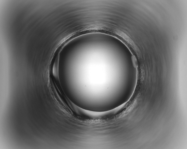 X0000093610834200710151237