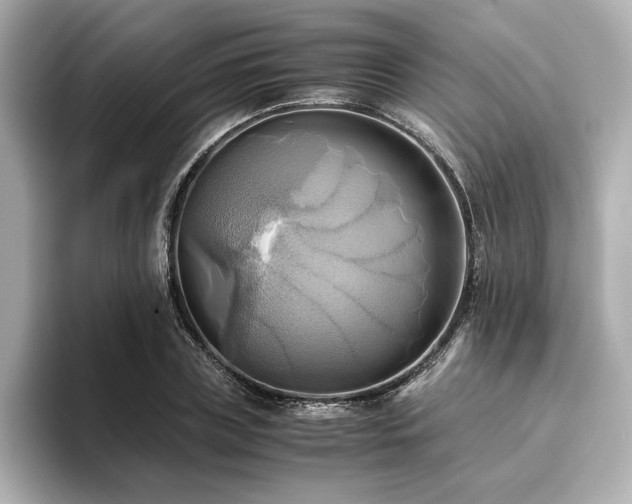 X0000093610835200710151237
