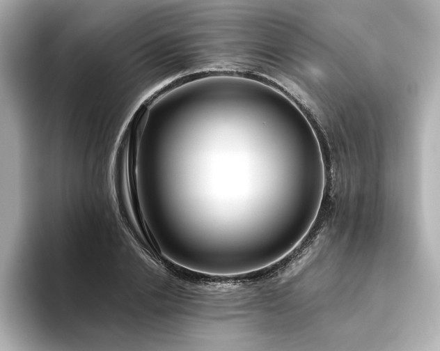 X0000093610838200710151237
