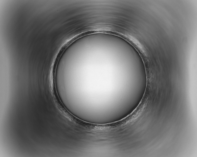 X0000093610840200710151237