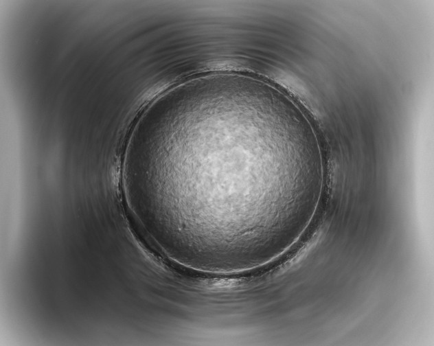 X0000093610841200710151237