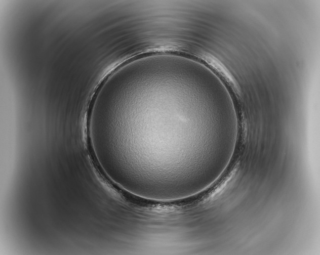 X0000093610842200710151237