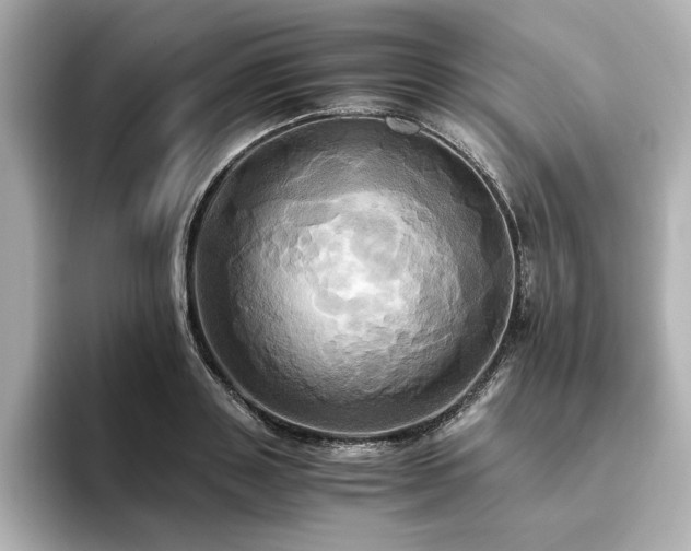 X0000093610843200710151238