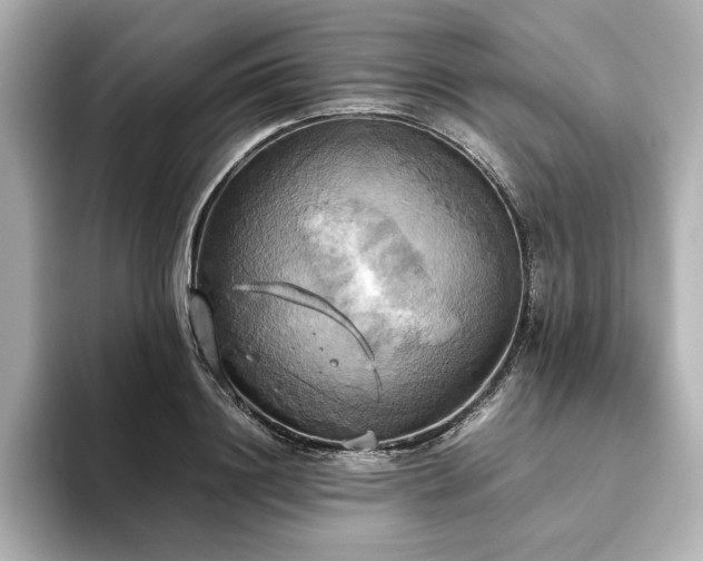 X0000093610844200710151238