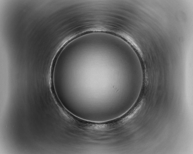 X0000093610845200710151238