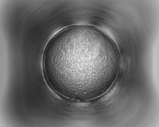 X0000093610847200710151238