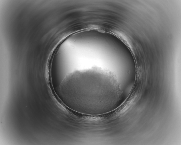 X0000093610851200710151238
