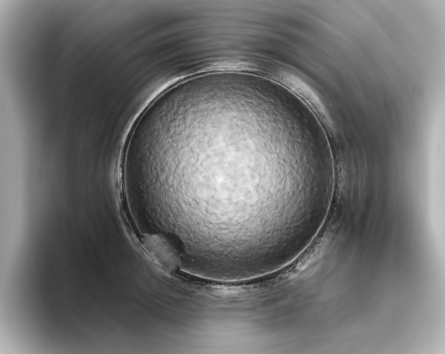 X0000093610852200710151238