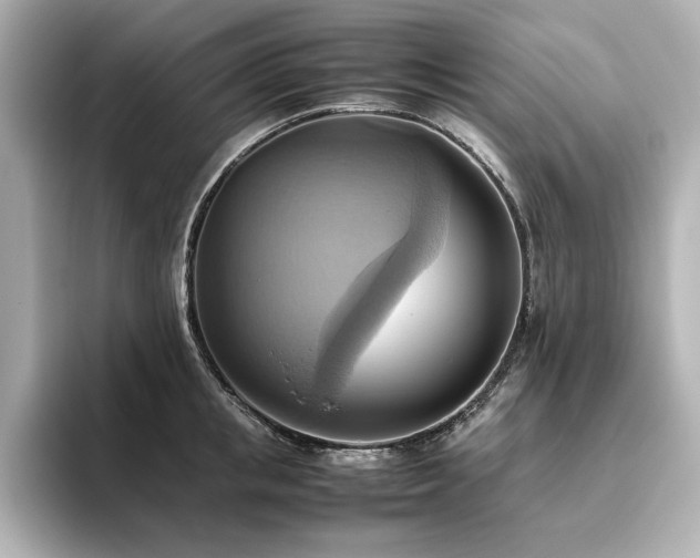 X0000093610853200710151238