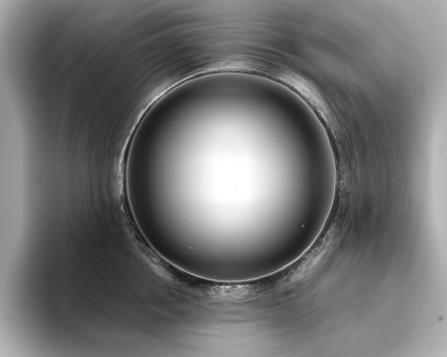 X0000093610858200710151238