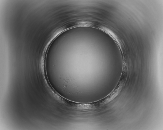 X0000093610859200710151238