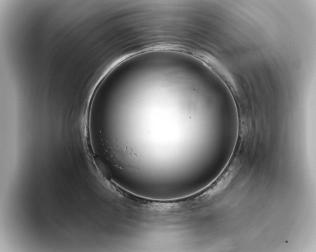 X0000093610860200710151238