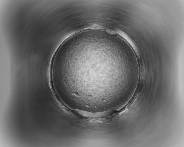 X0000093610861200710151238