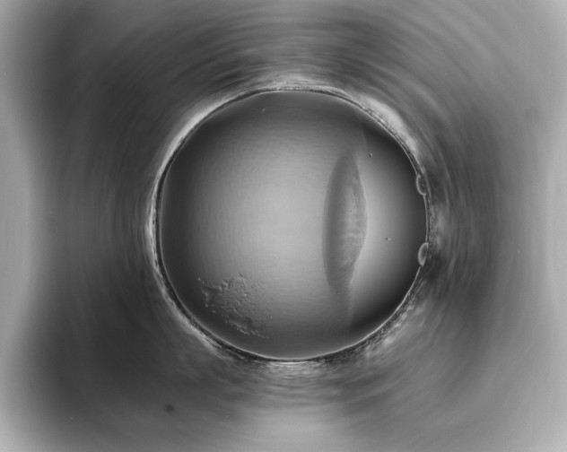 X0000093610863200710151238