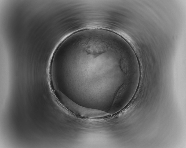 X0000093610864200710151238