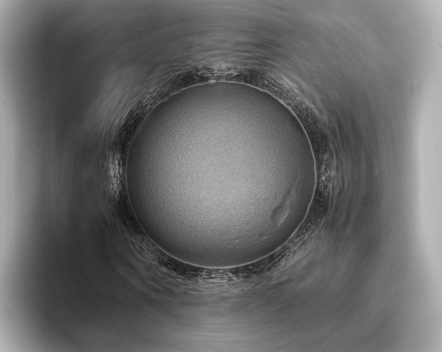 X0000093610866200710151237