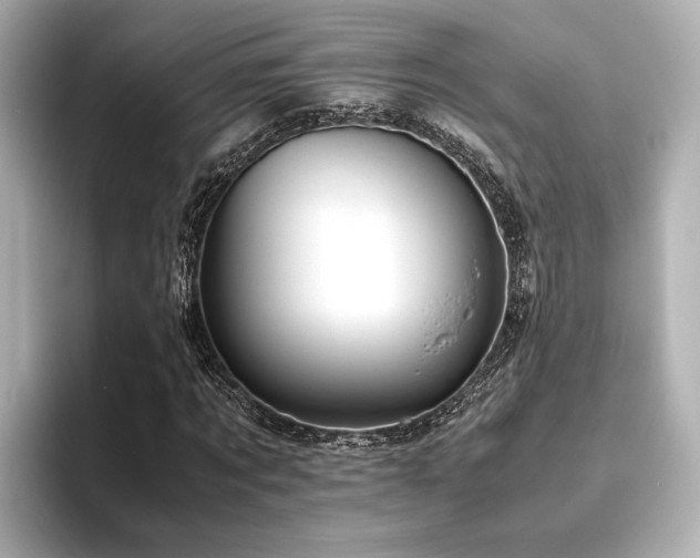 X0000093610869200710151237