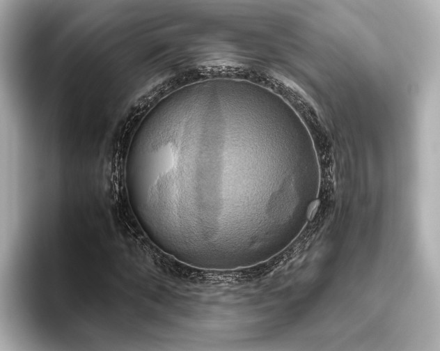 X0000093610870200710151237