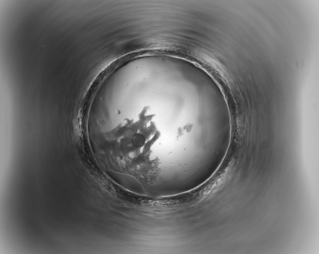X0000093610875200710151237