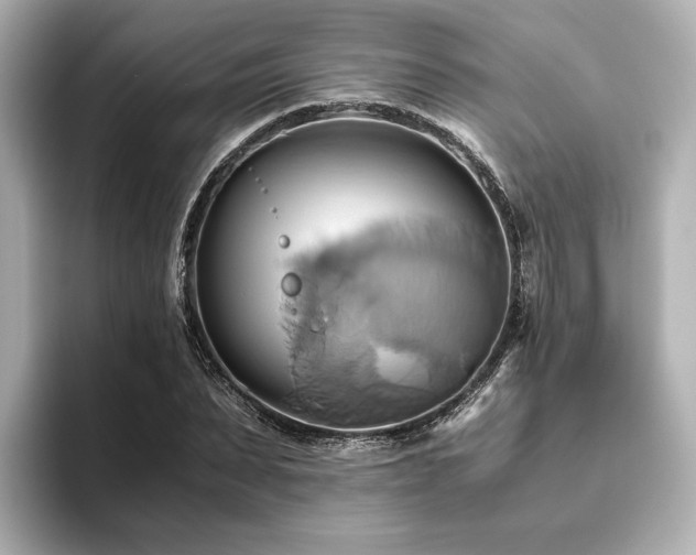 X0000093610879200710151237