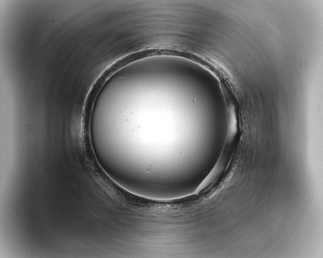 X0000093610880200710151237
