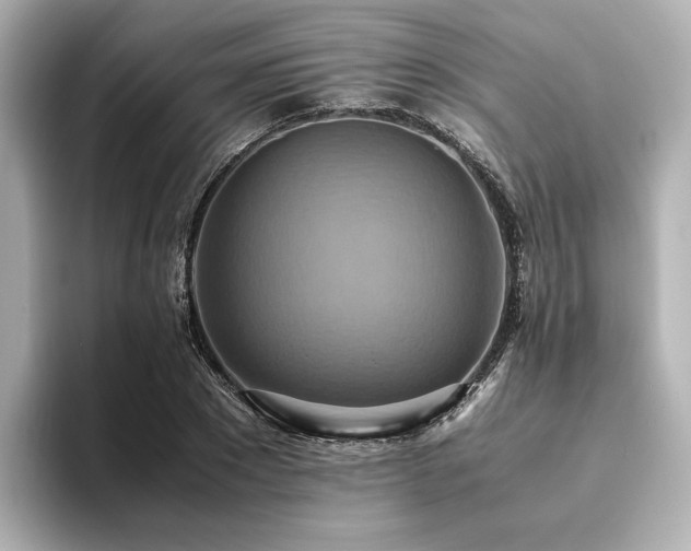 X0000093610881200710151237
