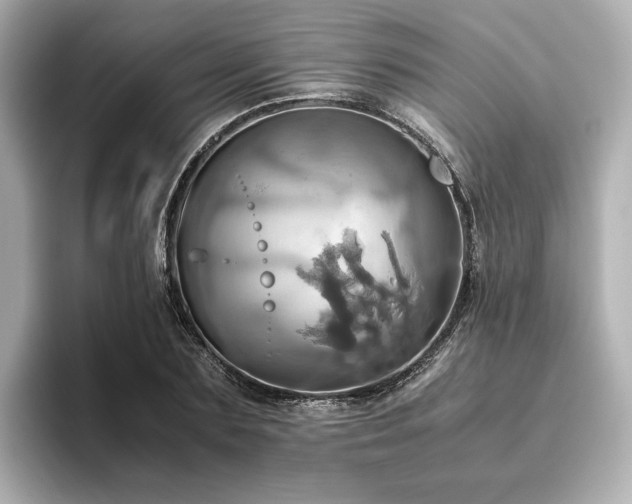 X0000093610883200710151237