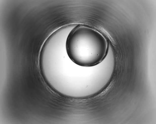 X0000093610884200710151237