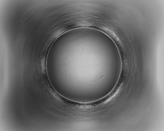 X0000093610889200710151237