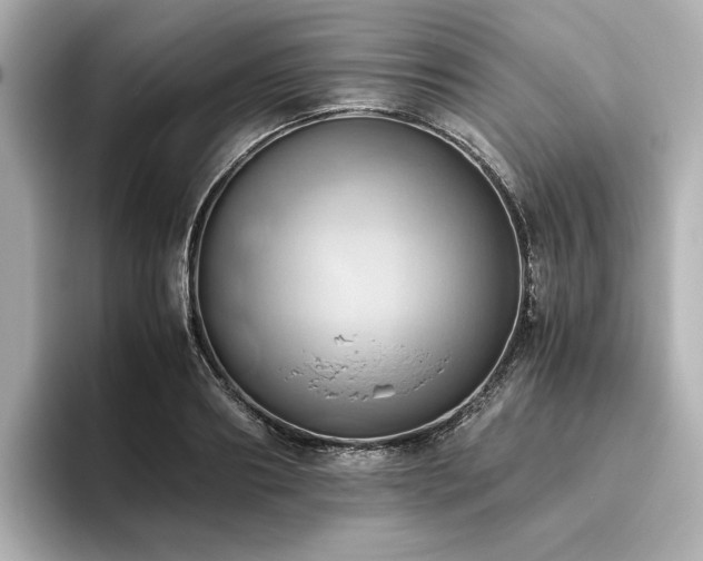 X0000093610890200710151237