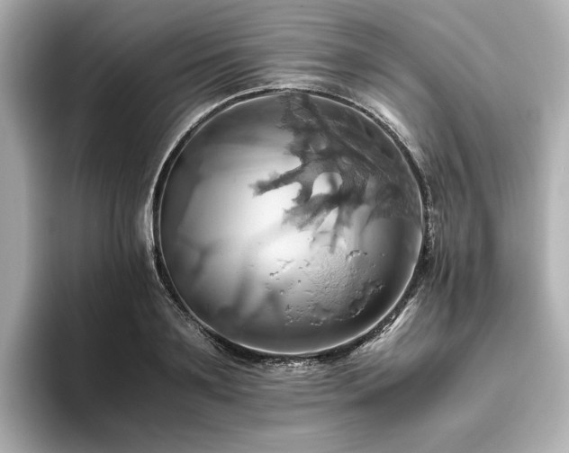 X0000093610891200710151237