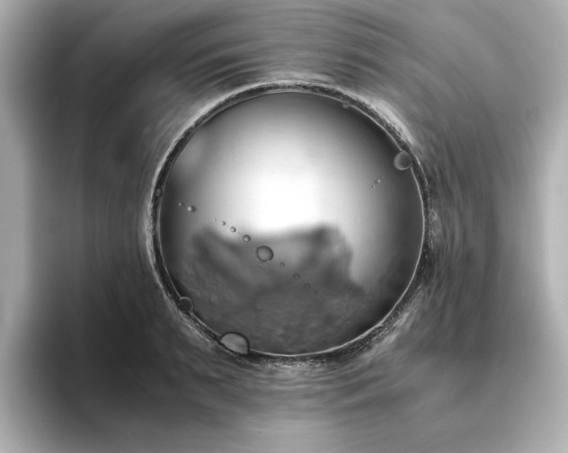 X0000093610895200710151237