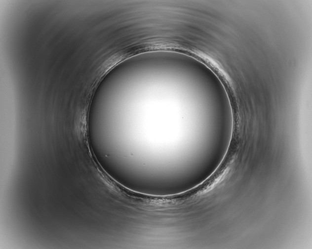 X0000093610897200710151237