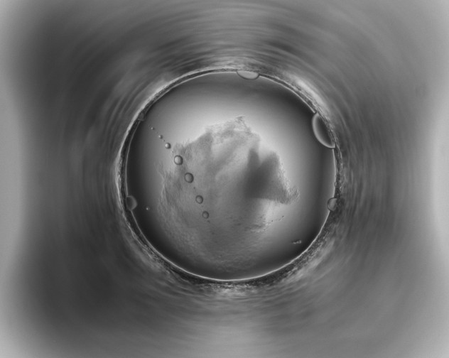 X0000093610899200710151237