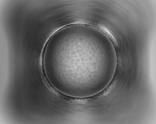 X0000093610900200710151237