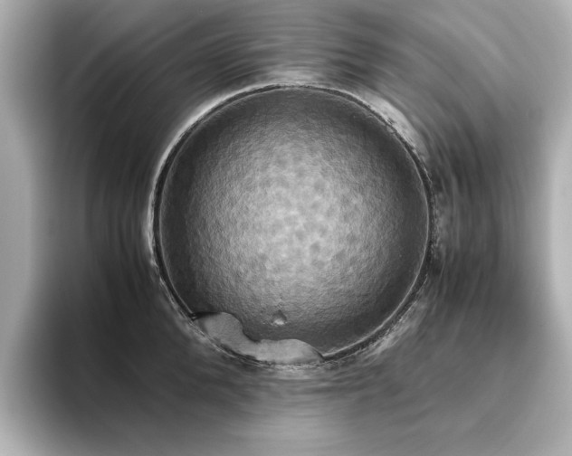 X0000093610904200710151237