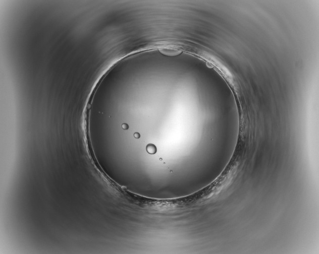 X0000093610907200710151237
