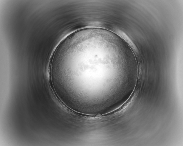 X0000093610908200710151237