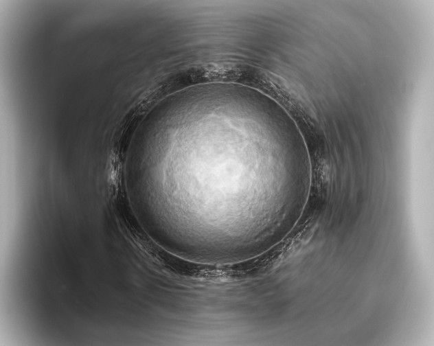 X0000093610914200710151236