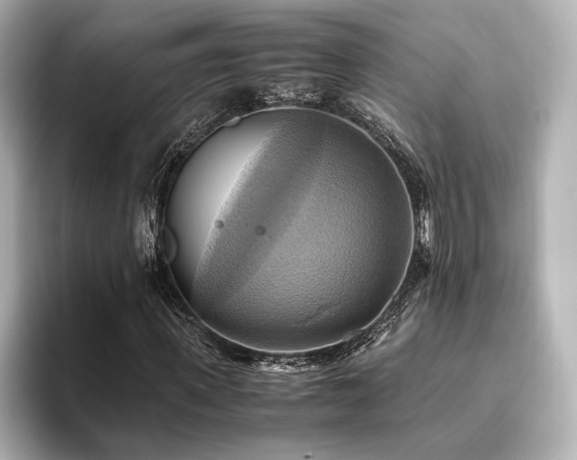 X0000093610915200710151236