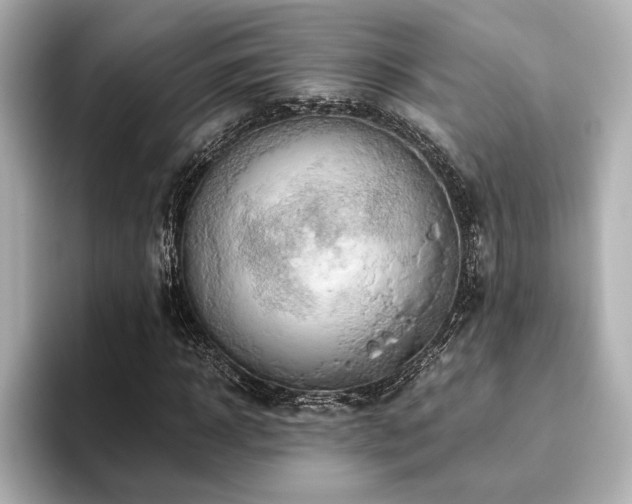 X0000093610918200710151236