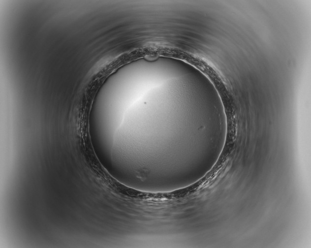 X0000093610919200710151236