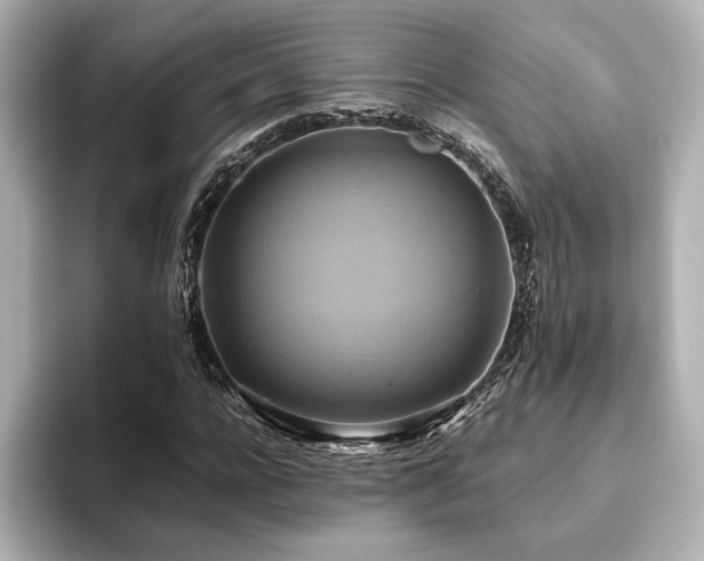 X0000093610920200710151236