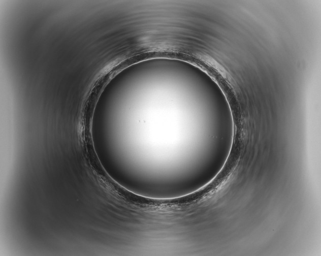 X0000093610922200710151236